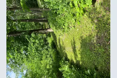 15315 County Road 25, Rollingstone, MN 55969 - Photo 37
