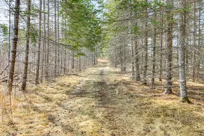 6242 Hendricks Haven Road NE, Tenstrike, MN 56683 - Photo 7