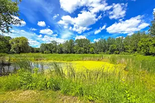 194 Elderberry Rd, Clearwater, MN 55320 - Photo 31