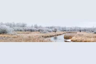 512Xx Leaf River Road Tract A, Ottertail, MN 56571 - Photo 3