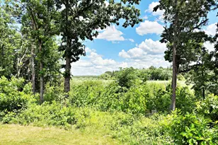 37464 129th Ave, Menahga, MN 56464 - Photo 49