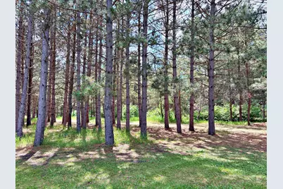 37215 Pine Cone Drive, Menahga, MN 56464 - Photo 5
