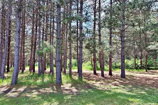 37215 Pine Cone Dr, Menahga, MN 56464 - Photo 5