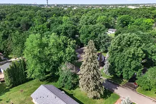 2705 Larch Ln N, Plymouth, MN 55441 - Photo 39