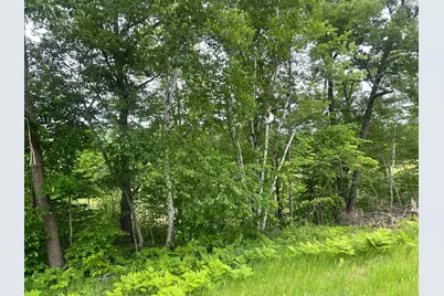 Tbd County Rd 16, Cushing, MN 56443 - Photo 7