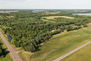 6897 95th Ave SE, Clear Lake, MN 55319 - Photo 41