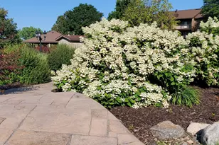 3420 Golfview Dr, Eagan, MN 55123 - Photo 21