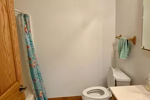 508 Prairie Ln, Long Prairie, MN 56347 - Photo 27