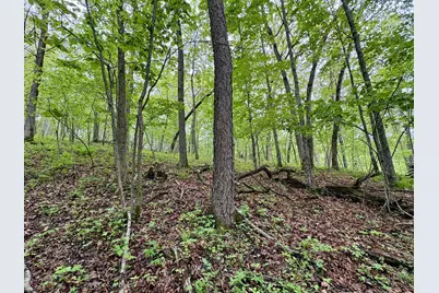 Lot 2 160th Ave, Maiden Rock, WI 54750 - Photo 23