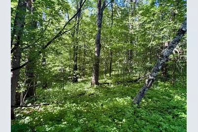 Lot 2 160th Ave, Maiden Rock, WI 54750 - Photo 25