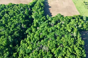 Lot 2 160th Ave, Maiden Rock, WI 54750 - Photo 1