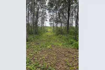 10750 Groningen Road, Sandstone, MN 55072 - Photo 9