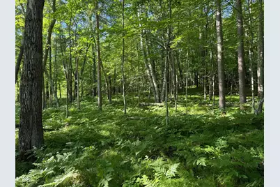 Tbd Sathre Lane, Shell Lake, WI 54871 - Photo 15