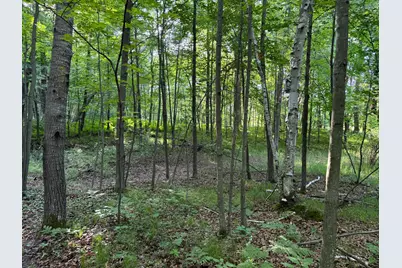 Tbd Sathre Lane, Shell Lake, WI 54871 - Photo 33