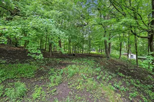 6680 Lotus Trail, Chanhassen, MN 55317 - Photo 43