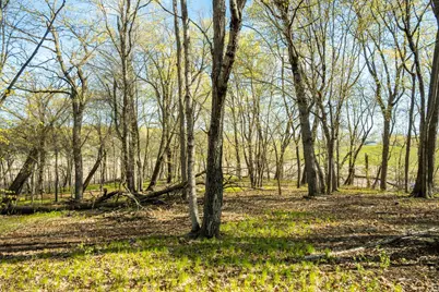 Tract 3 - Tbd State Highway 108, Pelican Rapids, MN 56572 - Photo 21