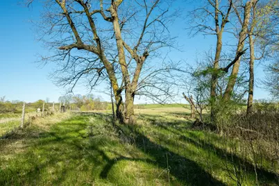 Tract 3 - Tbd State Highway 108, Pelican Rapids, MN 56572 - Photo 17