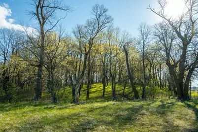 Tract 3 - Tbd State Highway 108, Pelican Rapids, MN 56572 - Photo 13