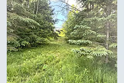 23506 Bazanis Road, Cohasset, MN 55721 - Photo 9