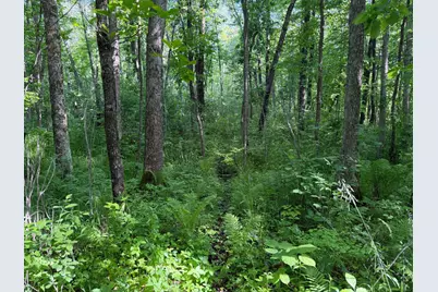 Tbd 270th Street, Sebeka, MN 56477 - Photo 31