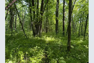 Tbd 270th Street, Sebeka, MN 56477 - Photo 29