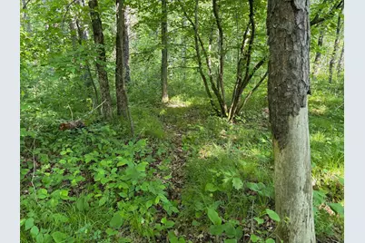 Tbd 270th Street, Sebeka, MN 56477 - Photo 39
