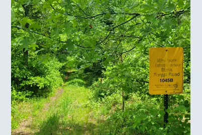 1045B State Trail, Nevis, MN 56467 - Photo 5