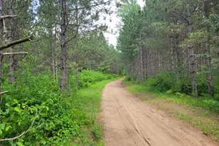 1045B State Trail, Nevis, MN 56467 - Photo 1