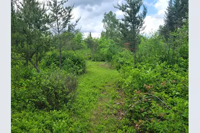 1045B State Trail, Nevis, MN 56467 - Photo 11