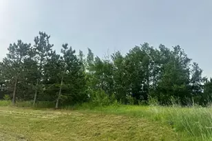 Tbd Tract 3 County 13, Nevis, MN 56467 - Photo 1
