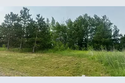 Tbd Tract 1 County 13, Nevis, MN 56467 - Photo 1
