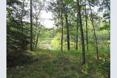 Lots 5-11 Tbd Front Stree Front Street, Pine River, MN 56474 - Photo 1