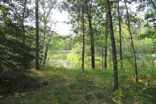 Lots 5-11 Tbd Front Stree Front St, Pine River, MN 56474 - Photo 1