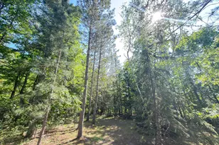 28288 Junco Dr, Nevis, MN 56467 - Photo 25