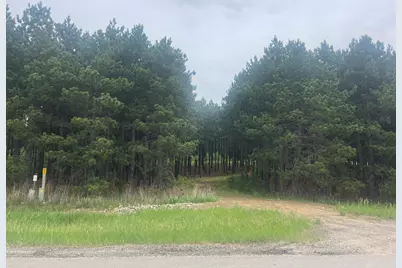 Tbd2 County 2, Nevis, MN 56467 - Photo 7