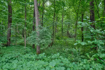 N8554 1205th Street, River Falls, WI 54022 - Photo 39