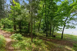 36003 Schaller Ln, Pequot Lakes, MN 56472 - Photo 9