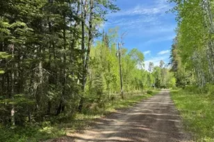 60905 Bearville Trl, Cook, MN 55723 - Photo 29