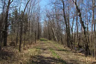 Tbd-1 County Road 41, Willow River, MN 55795 - Photo 1
