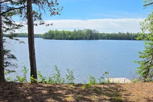 51946 N Wasson Lake Rd, Bigfork, MN 56628 - Photo 9