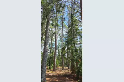 51946 N Wasson Lake Rd, Bigfork, MN 56628 - Photo 37