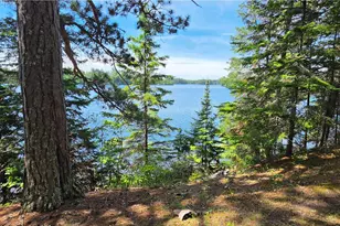 51946 N Wasson Lake Rd, Bigfork, MN 56628 - Photo 7