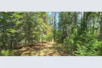 51946 N Wasson Lake Rd, Bigfork, MN 56628 - Photo 41