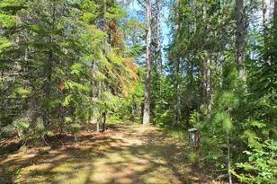 51946 N Wasson Lake Rd, Bigfork, MN 56628 - Photo 41