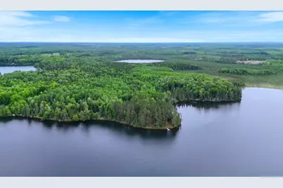 51946 N Wasson Lake Rd, Bigfork, MN 56628 - Photo 43
