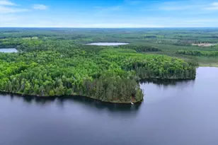 51946 N Wasson Lake Rd, Bigfork, MN 56628 - Photo 43