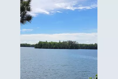 51946 N Wasson Lake Rd, Bigfork, MN 56628 - Photo 51