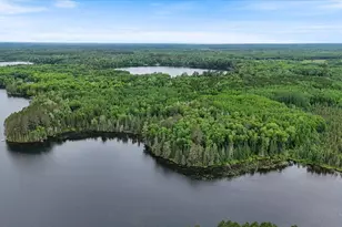 51946 N Wasson Lake Rd, Bigfork, MN 56628 - Photo 45