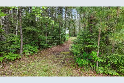 51946 N Wasson Lake Rd, Bigfork, MN 56628 - Photo 33