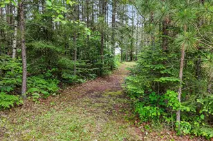 51946 N Wasson Lake Rd, Bigfork, MN 56628 - Photo 33